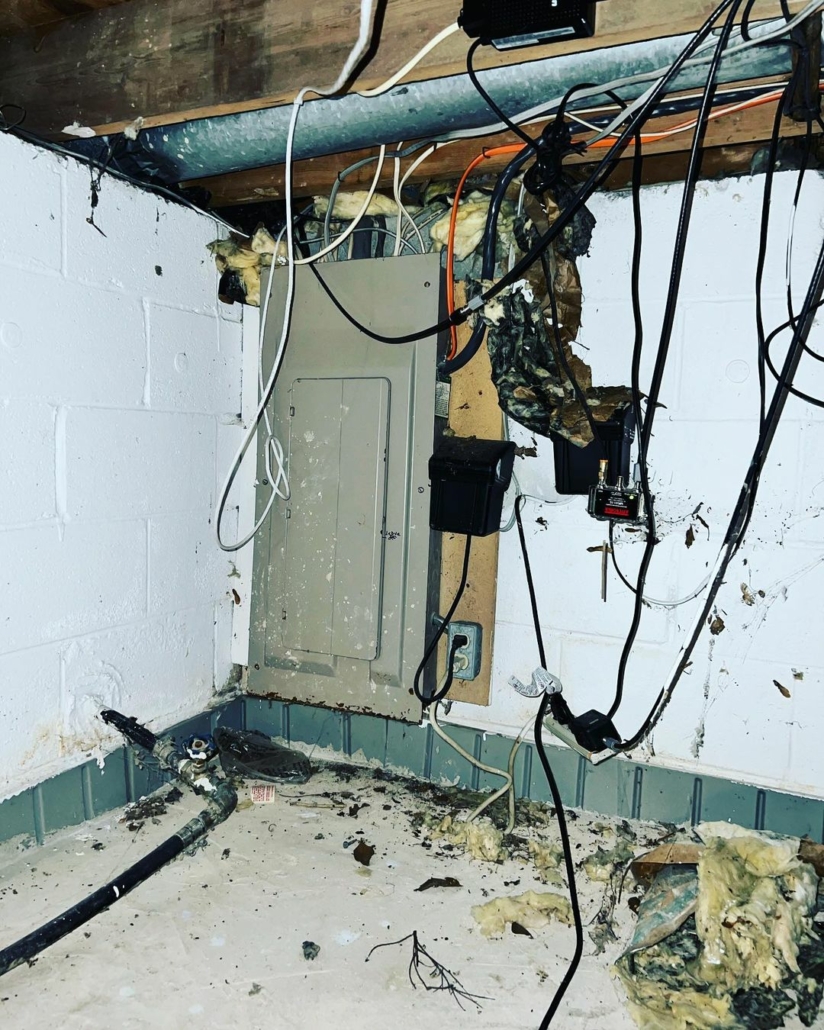 electric panel in crawl space discovered at home inspection in newark de